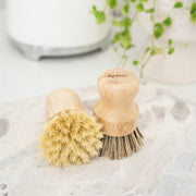 Cleanse Pot Scrubber - Regular